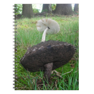 Ebony and Ivory Fungi Notebook Notizblock
