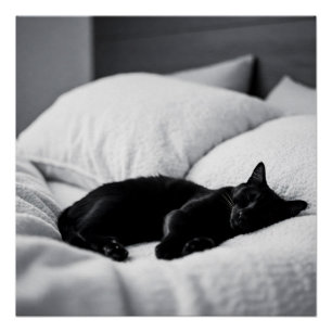 Ebony Dreams: Feline Behaglichkeit und Charme Poster