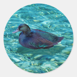 Ebony Duck - Aufkleber für den Umschlag