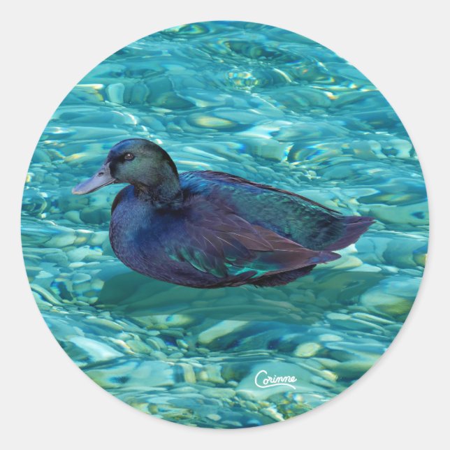 Ebony Duck - Aufkleber für den Umschlag (Vorderseite)