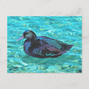 Ebony Duck - Postcard Postkarte