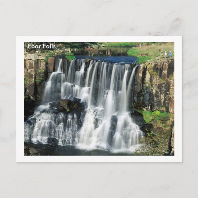 Ebor Falls Postkarte (Vorderseite)