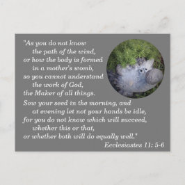 Ecclesiastes 11:5-6 Bibelverse Gedächtnis Postkarte