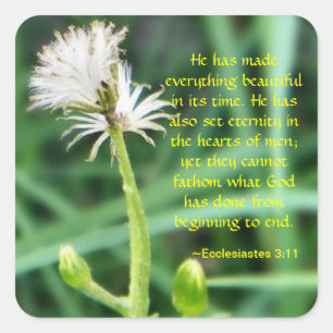 Ecclesiastes 3:11 Aufkleber