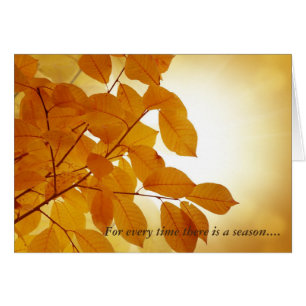 Ecclesiastes 3 Jahreszeit beruhigend