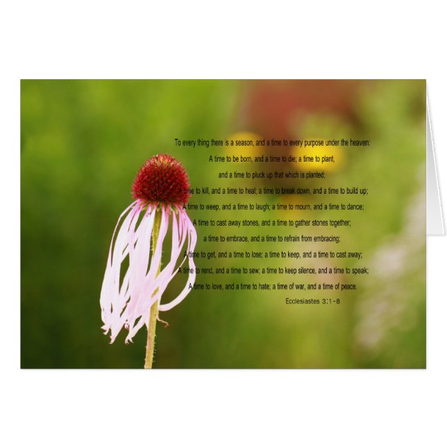 Ecclesiastes Vers-Karte (Vorderseite (Horizontal))