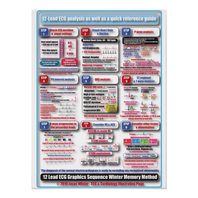 ECG-Ausbildungspaket Poster (Vorderseite)