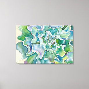 Echeveria 'Blue Frills' Canvas Print Leinwanddruck