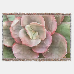 Echeveria Cactus sukkulent Acrylmalerei Decke