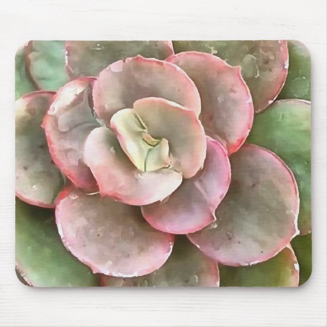 Echeveria Cactus sukkulent Acrylmalerei Mousepad (Vorne)