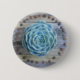 Echeveria Imbricata und Glyzinie-SamenSucculents Button