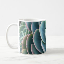 Echeveria Kaffee-Tasse Tasse