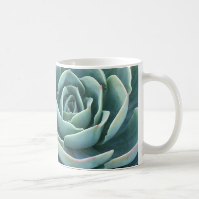 Echeveria Kaffee-Tasse Tasse (Rechts)