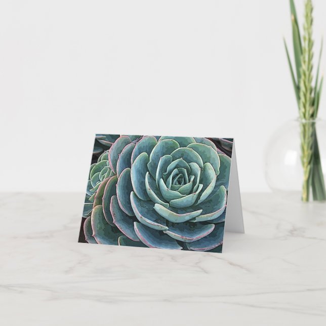 Echeveria notecard karte (Vorderseite)