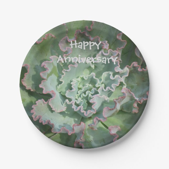 Echeveria-Papierplatte zum Jahrestag Pappteller (Vorderseite)