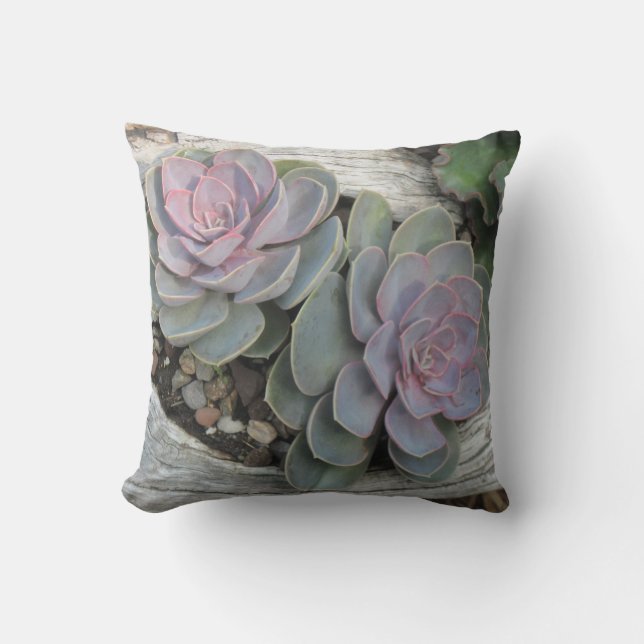 Echeveria Pillow Kissen (Vorderseite)