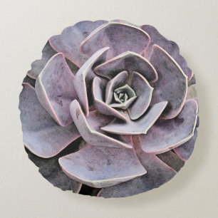 Echeveria "Rose" Sukkulent Rundes Kissen