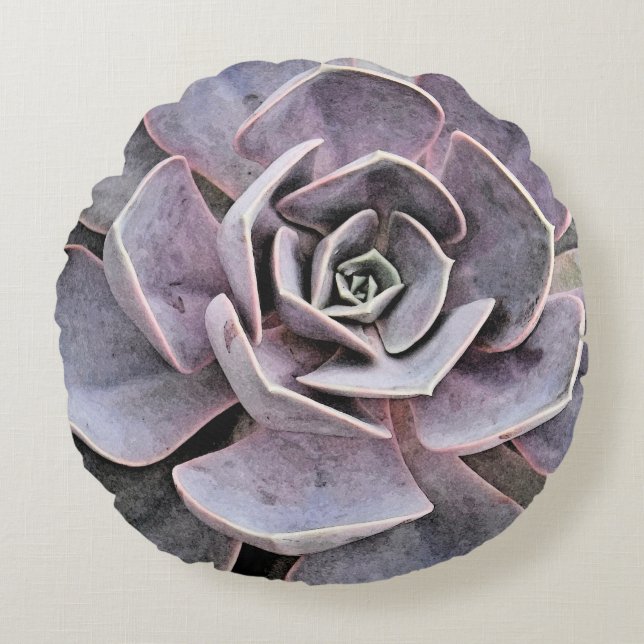 Echeveria "Rose" Sukkulent Rundes Kissen (Vorderseite)