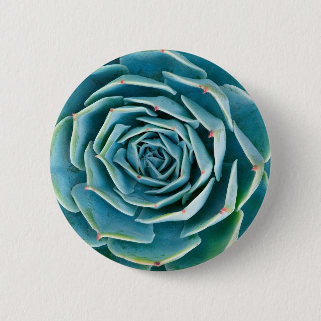 Echeveria-Rosette, Geheimgarten von Marrakesch Button (Vorderseite)