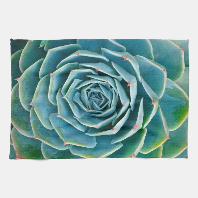 Echeveria-Rosette, Geheimgarten von Marrakesch Geschirrtuch (Horizontal)
