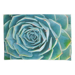 Echeveria-Rosette, Geheimgarten von Marrakesch Kissenbezug