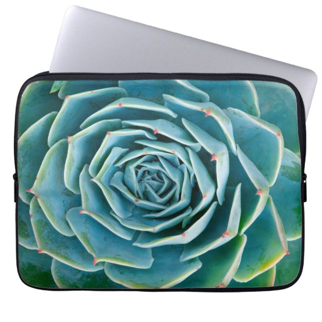 Echeveria-Rosette, Geheimgarten von Marrakesch Laptopschutzhülle (Vorderseite)
