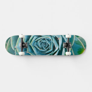 Echeveria-Rosette, Geheimgarten von Marrakesch Skateboard