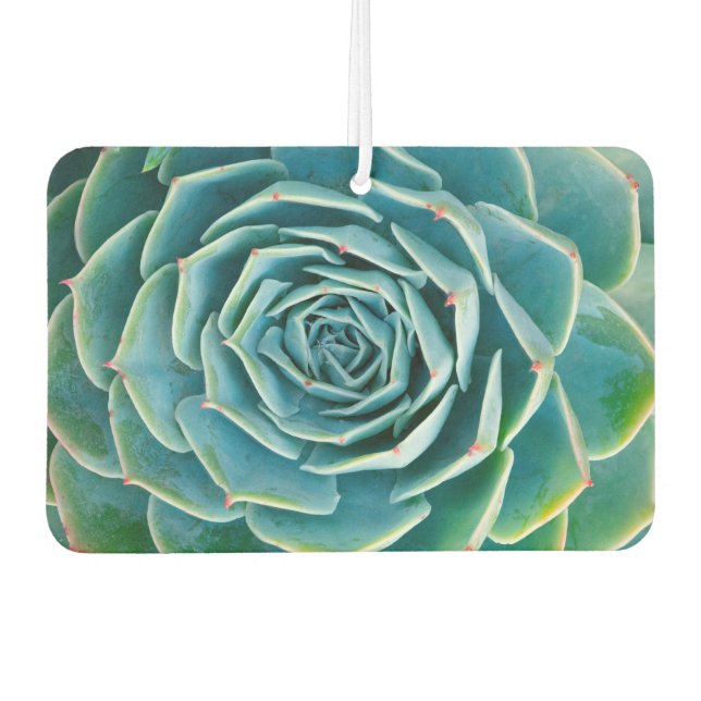 Echeveria Rosette, Secret Garden of Marrakech Autolufterfrischer (Vorderseite)