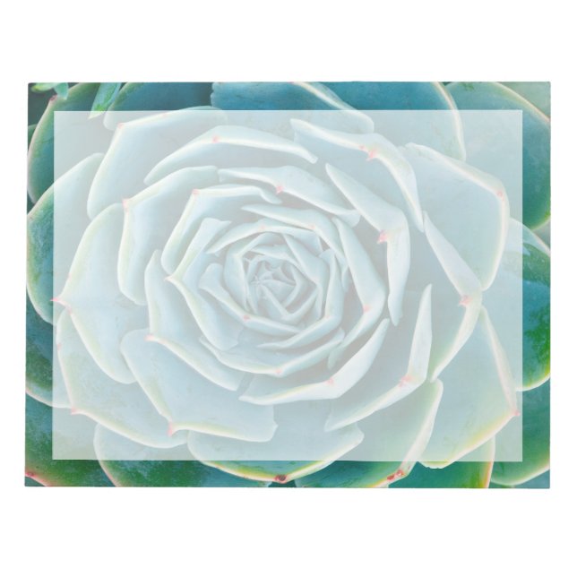 Echeveria Rosette, Secret Garden of Marrakech Notizblock (Vorderseite)