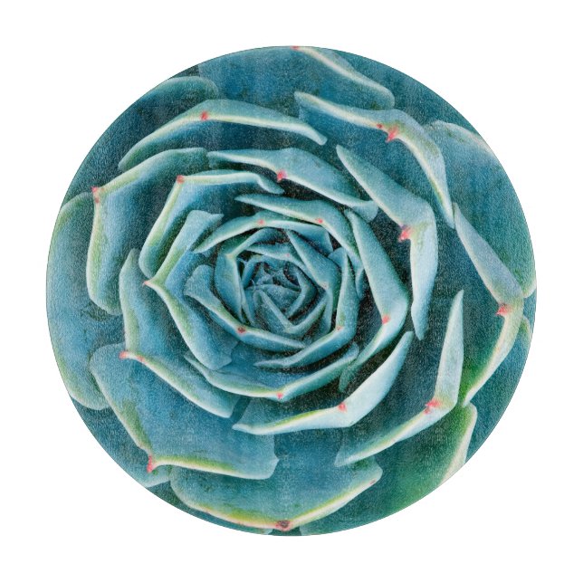 Echeveria Rosette, Secret Garden of Marrakech Schneidebrett (Vorderseite)
