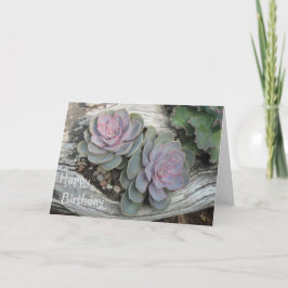 Echeveria Succulent Geburtstagskarte Karte