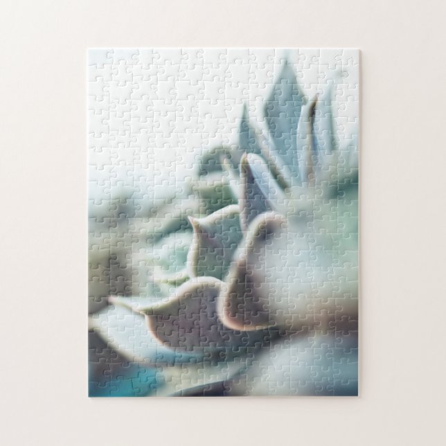 Echeveria Succulent Puzzle (Vertikal)