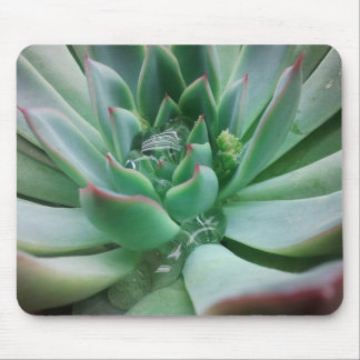 Echeveria "Tippy Mousepad