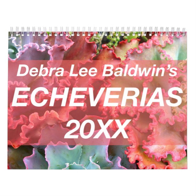 Echeverias 20XX Kalender von Debra Lee Baldwin (Titelbild)