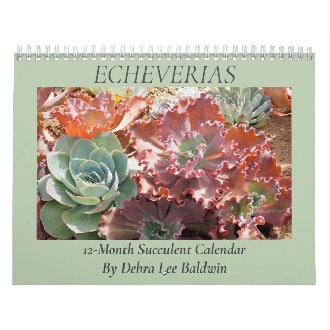 Echeverias: Sukkulturen von Debra Lee Baldwin Kalender (Titelbild)
