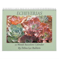 Echeverias: Sukkulturen von Debra Lee Baldwin