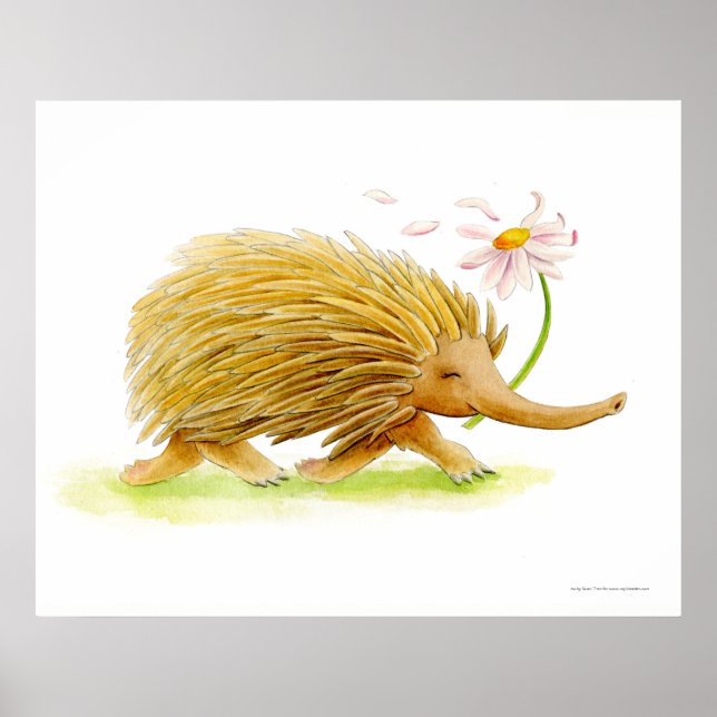 Echidna Aquarell-Launen Kunstposter Poster (Vorne)