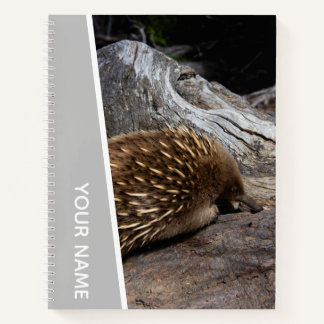 Echidna Australia Niedlich Spiky Animal, Silver Notizbuch