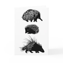 Echidna, Igel, Stachelschweingrußkarte
