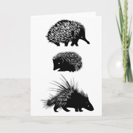 Echidna, Igel, Stachelschweingrußkarte Karte