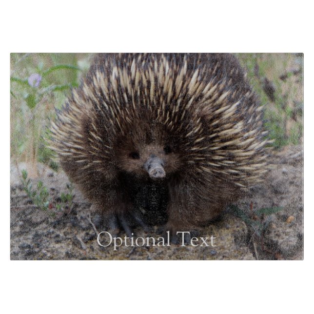 Echidna oder stacheliger Anteater Australien Schneidebrett (Vorderseite)