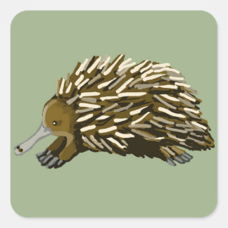 Echidna Quadratischer Aufkleber