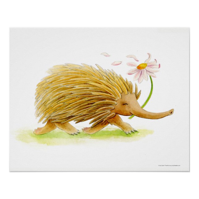 Echidna Wassercolor-Poster Poster (Vorderseite)