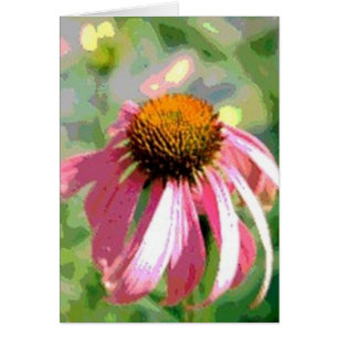Echinacea Abstrakte Karte
