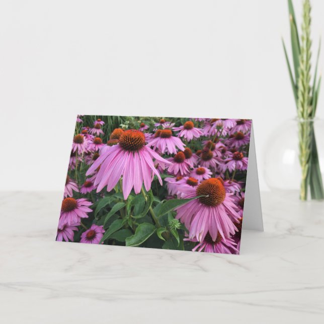 Echinacea Blank Note Card Dankeskarte (Vorderseite)