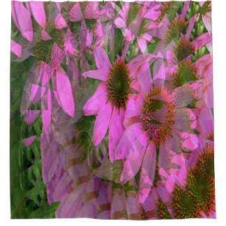 Echinacea blüht...... duschvorhang