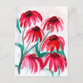 Echinacea-Blume in Bloom - Aquarellfarbe Feiertagspostkarte