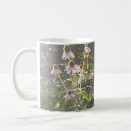 Echinacea-Blume in der Sonne Kaffeetasse