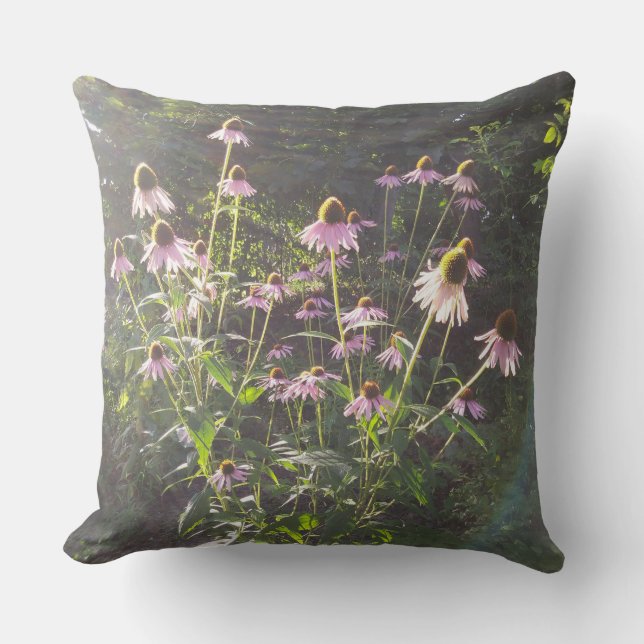 Echinacea-Blume in der Sonne Kissen (Vorderseite)