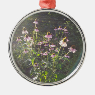 Echinacea-Blume in der Sonne Ornament Aus Metall